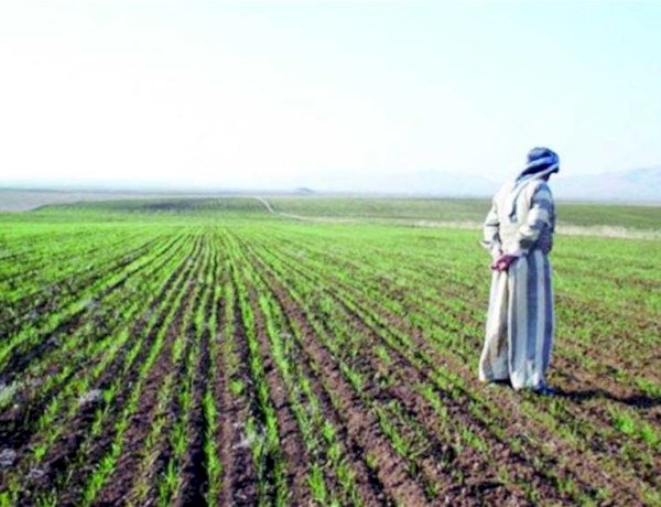 "الزراعة" تستعرض جهودها في دعم المزارعين وتحقيق الأمن الغذائي خلال الاسبوع الثالث من سبتمبر الجاري