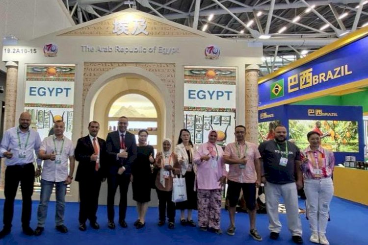 جهاز تنمية المشروعات يشارك في معرض الصين الدولي للمشروعات المتوسطة والصغيرة