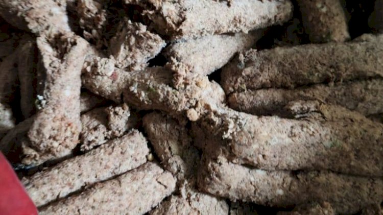 "الزراعة" تضبط 213 طنًا و281 كجم من اللحوم ومنتجاتها المخالفة خلال أغسطس