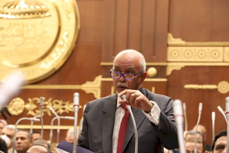 حازم الجندى: «علاجك فى مصر» خطوة لدعم المصريين بالخارج وبناء منظومة للرعاية