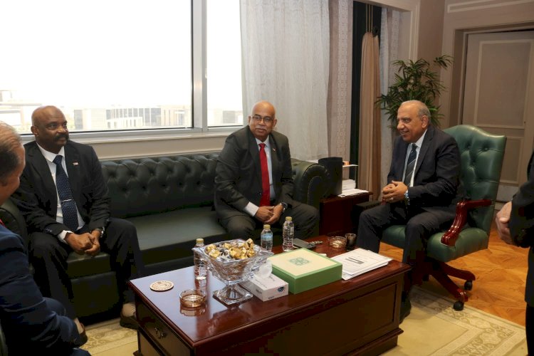 وزير الكهرباء يبحث مع نظيره السوداني تعزيز التعاون لإعادة تأهيل الشبكات وتوفير الطاقة