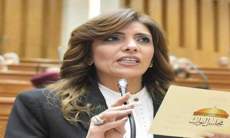 نائبة: لقاء الرئيس السيسي وولي العهد السعودي في توقيت بالغ الأهمية