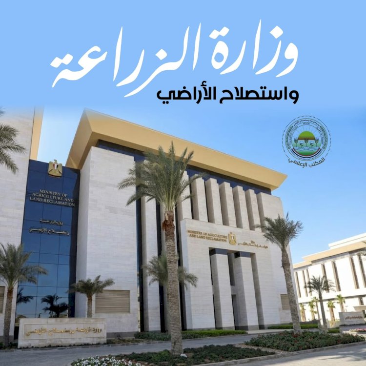 «الزراعة»: سحب أكثر من 9 آلاف عينة ضمن برامج التقصي النشط ورفع الجاهزية الصحية للثروة الداجنة