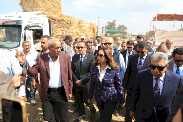 وزيرة التنمية المحلية والبيئة ومحافظ الدقهلية يتفقدان موقع تجميع قش الأرز بمركز بلقاس