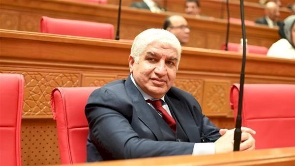 برلماني: تصدر مصر سوق الفنادق الإفريقية يعكس قوة القطاع السياحي