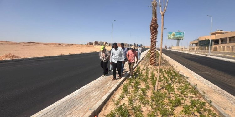 وزيرة الإسكان تتابع الموقف التنفيذي للمشروعات وملفات العمل بعدد من المدن الجديدة بالصعيد