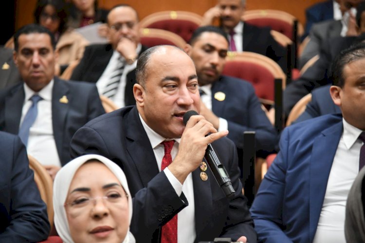عضو الشيوخ: المرحلة الراهنة تفرض تعزيز التضامن العربي وتنسيق المواقف