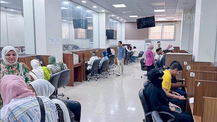 التعليم العالي: فتح باب التقديم للتنسيق الإلكتروني المباشر للقبول التكميلي بالجامعات التكنولوجية