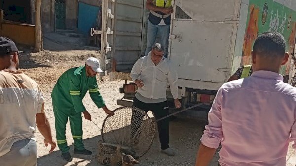 مصرع شاب إثر سقوطه في بيارة صرف صحي بإحدى قرى الدقهلية