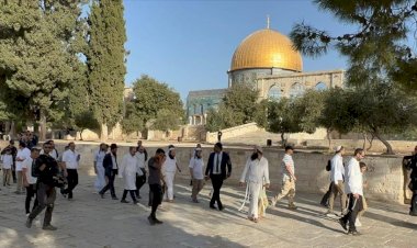 مصر تدين اقتحام المستوطنين الإسرائيليين للمسجد الأقصى المبارك