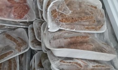 "الزراعة": ضبط نحو 175 طنًا من اللحوم ومنتجاتها المخالفة خلال سبتمبر.. وتحرير 826 محضرًا بالمحافظات