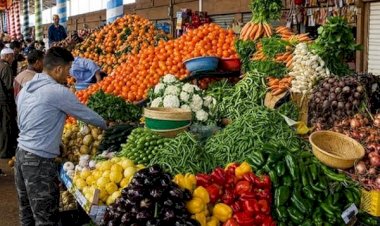 سعر الخضار والفاكهة اليوم الاربعاء 7 أكتوبر في مصر