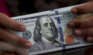 أسعار الدولار في مصر الخميس 8 أكتوبر