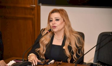 برلمانية: جولة الرئيس السيسي الآسيوية تعزز مكانة مصر دوليًا وتفتح آفاقًا جديدة للاستثمار