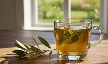 فوائد ورق الزيتون للصحة وطريقة تحضيره وأبرز أضراره