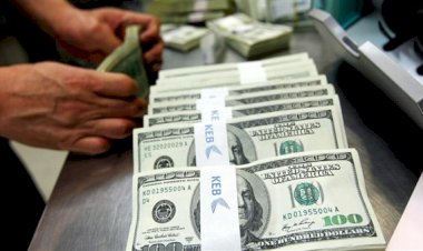 أسعار الدولار في مصر الاربعاء 14 أكتوبر