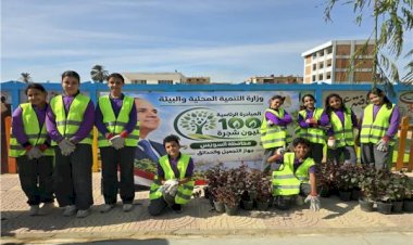 وزيرة التنمية المحلية والبيئة تتابع بدء توريد وزراعة 4800 شجرة لمحافظة السويس