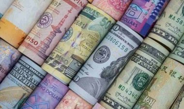 أسعار العملات في مصر اليوم السبت 17 أكتوبر