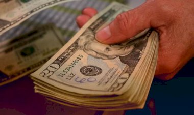 أسعار الدولار في مصر الإثنين 20 اكتوبر