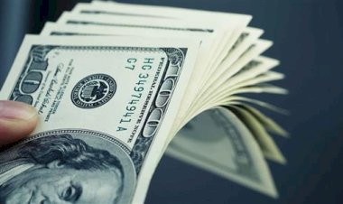 أسعار الدولار في مصر الخميس 22 اكتوبر