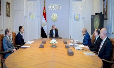عاجل.. الرئيس السيسي يجتمع مع رئيس الوزراء ووزيرا الكهرباء والمالية