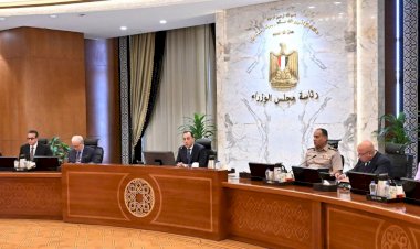 مجلس الوزراء يوافق على اشتراطات ومحددات مبادرة دعم تحول القطاع الصناعي للطاقة الشمسية "مبادرة شمس الصناعة"