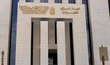 التنظيم والإدارة: رئيس الوزراء يوافق على نقل 1799 موظفًا منتدبًا إلى جهات انتدابهم