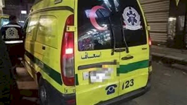 مصرع شخصين دهسا في حادث مروري ببني مزار بالمنيا