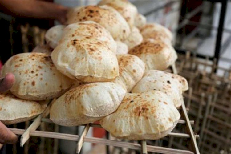 وزارة التموين: أسعار الخبز السياحي الحر والفينو دون تغيير