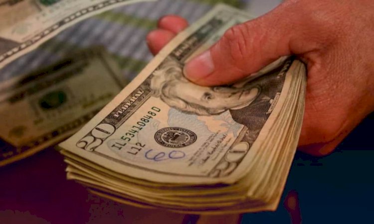 أسعار الدولار في مصر الإثنين 20 اكتوبر