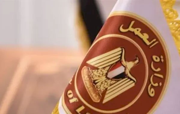 وزير العمل يعلن: 6349 فرصة عمل في 46 شركة قطاع خاص بـ11 محافظة